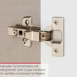 rauch Kleiderschrank »Drehtürenschrank Schrank Garderobe Wäscheschrank KONA« Breiten 251/301 cm, Höhe 223 cm, Tiefe 61 cm,Glasauflage, Massivholz-Absetzung, SOFT-CLOSE-FUNKTION MADE IN GERMANY