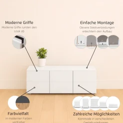 rauch TV-Board »Joel« Breite 80 oder 120 cm,praktische und geräumige Schubladen MADE IN GERMANY