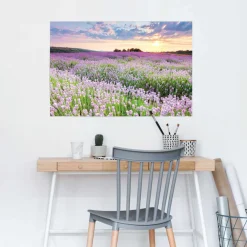 Reinders! Poster »Lavendelfeld« Hobbyraum - Lila - 150 gr.Papier - Blumen und Pflanzen - 91,5x61 cm