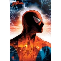 Reinders! Poster »Spiderman - protector of the city«