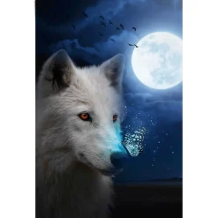 Reinders! Poster »Weißer Wolf«