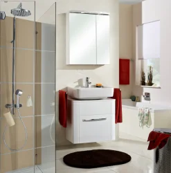 Saphir Badezimmerspiegelschrank »Spiegelschrank Serie 3006 inkl. LED-Beleuchtung, 2 Türen« Badschrank 60 cm breit, inkl. Steckdose und Türdämpfer