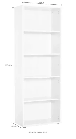 Schildmeyer Aktenregal »Serie 200, Aktenschrank, Made in Germany, B: 65 cm« Solide Verarbeitung - Dieses Produkt ist in Deutschland gefertigt