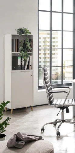 Schildmeyer Aktenschrank »Serie 500, Aktenschrank, Made in Germany, B: 51 cm« Solide Verarbeitung - Dieses Produkt ist in Deutschland gefertigt