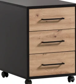 Schildmeyer Container »Aino, Rollcontainer, Made in Germany, B: 40,1 cm« Solide Verarbeitung - Dieses Produkt ist in Deutschland gefertigt