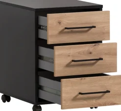 Schildmeyer Container »Aino, Rollcontainer, Made in Germany, B: 40,1 cm« Solide Verarbeitung - Dieses Produkt ist in Deutschland gefertigt