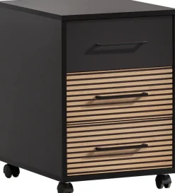 Schildmeyer Container »Hank, Rollcontainer, Made in Germany, B: 40 cm« Solide Verarbeitung - Dieses Produkt ist in Deutschland gefertigt