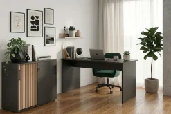 Schildmeyer Schiebetürenschrank »Hank, Schiebetürenschrank, Made in Germany, B: 100 cm« Solide Verarbeitung - Dieses Produkt ist in Deutschland gefertigt