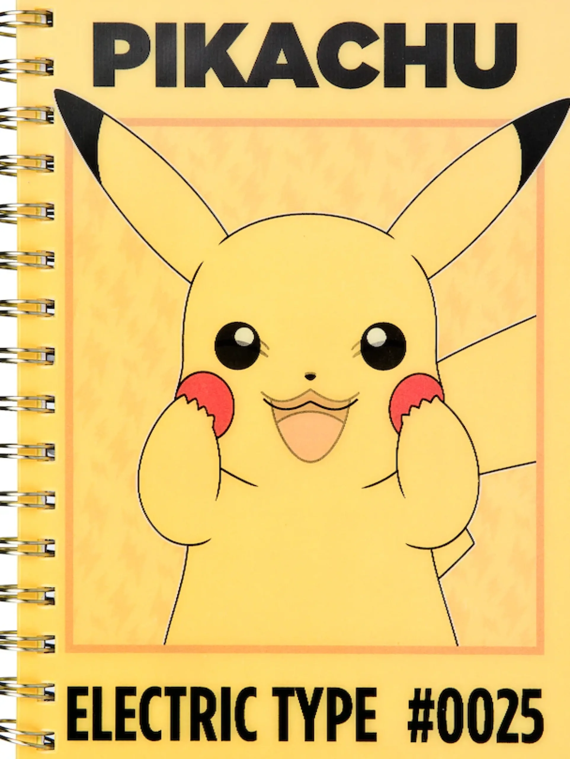 UNDERCOVER Notizbuch »Pokémon« DIN A5 inkl. 4 Kugelschreiber sowie Schreib- und Bastelutensilien
