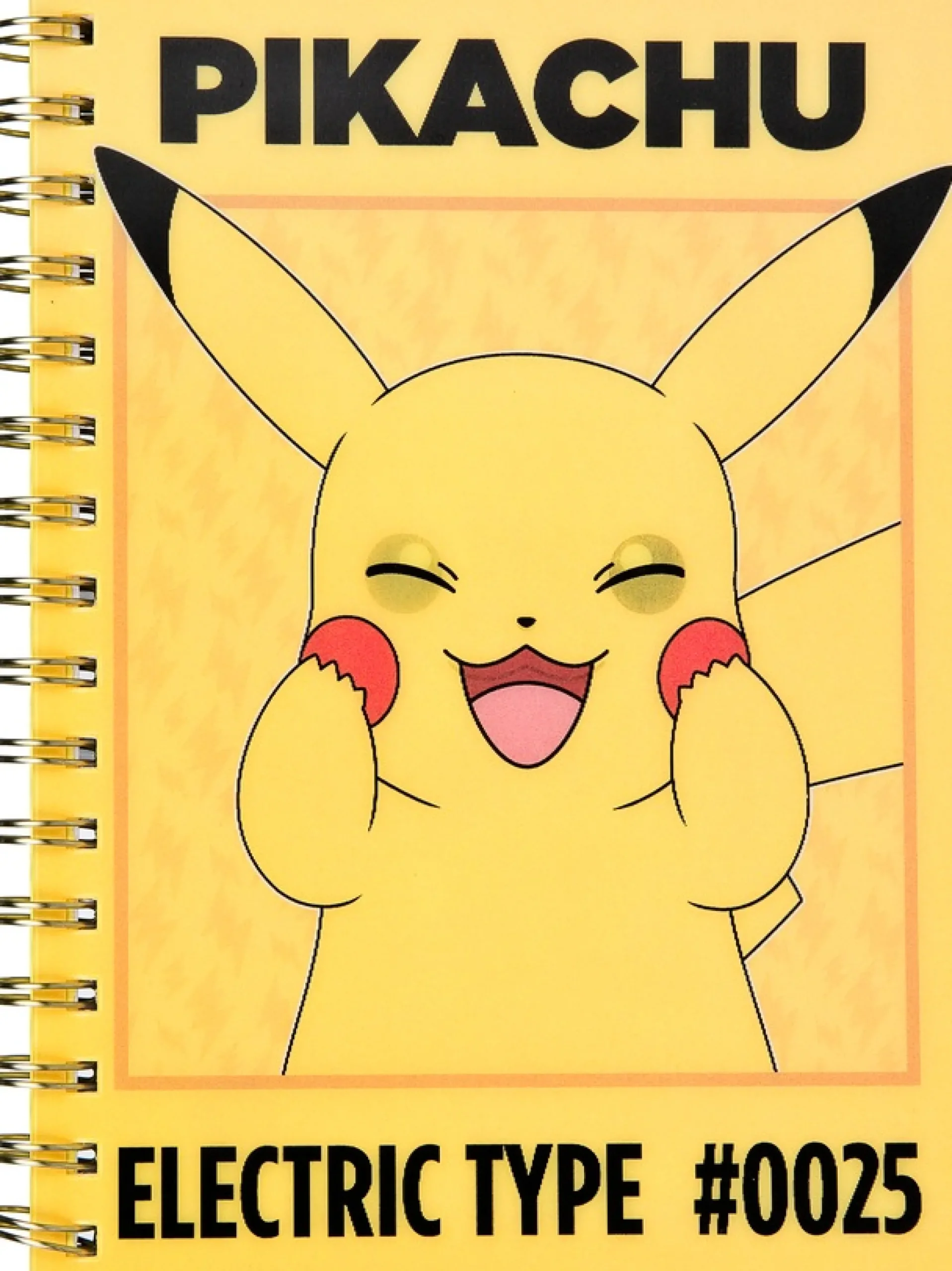 UNDERCOVER Notizbuch »Pokémon« DIN A5 inkl. 4 Kugelschreiber sowie Schreib- und Bastelutensilien