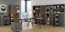 VCM Aktenschrank »Büroschrank Aktenschrank Schiebetüren Salia 5fach« 1 Stk. tlg.