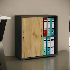 VCM Aktenschrank »Büroschrank Aktenschrank Schiebetüren Lona 2fach« 1 Stk. tlg.