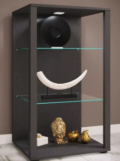 VCM Standvitrine »Holz Glas Stand Vitrine Sammelvitrine Glasol XL« 1 Stk. tlg.