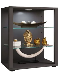 VCM Standvitrine »Holz Glas Stand Vitrine Sammelvitrine Glasol L« 1 Stk. tlg.