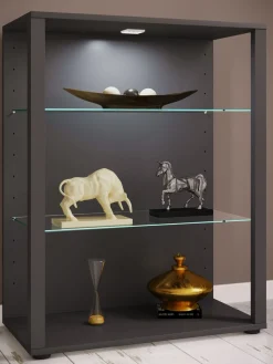 VCM Standvitrine »Holz Glas Stand Vitrine Sammelvitrine Glasol L« 1 Stk. tlg.