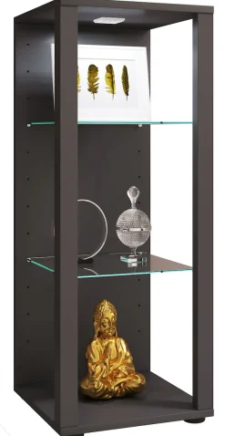 VCM Standvitrine »Holz Glas Stand Vitrine Sammelvitrine Glasol M« 1 Stk. tlg.