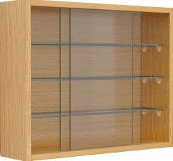 VCM Wandregal »Hängevitrine Wandvitrine Sammel Deko Drivalo S« 1 Stk. tlg.