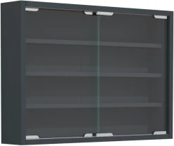 VCM Wandregal »Hängevitrine Wandvitrine Sammel Deko Agisa M« 1 Stk. tlg.