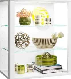 VCM Wandregal »Holz Glas Stand Vitrine Sammelvitrine Glasol SW« 1 Stk. tlg.