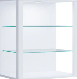 VCM Wandregal »Holz Glas Stand Vitrine Sammelvitrine Glasol SW« 1 Stk. tlg.
