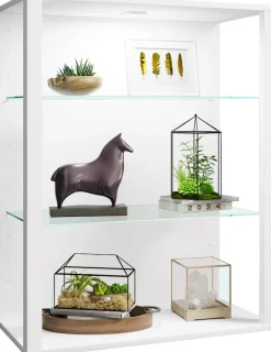 VCM Wandregal »olz Glas Stand Vitrine Sammelvitrine Glasol LW« 1 Stk. tlg.