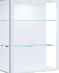 VCM Wandregal »olz Glas Stand Vitrine Sammelvitrine Glasol LW« 1 Stk. tlg.