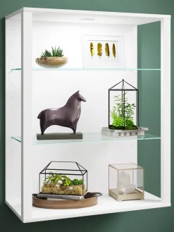 VCM Wandregal »olz Glas Stand Vitrine Sammelvitrine Glasol LW« 1 Stk. tlg.