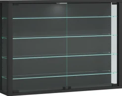 VCM Wandregal »Wandvitrine Hängevitrine Glasvitrine Vitrosa L« 1 Stk. tlg.