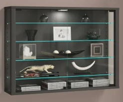VCM Wandregal »Wandvitrine Hängevitrine Glasvitrine Vitrosa L« 1 Stk. tlg.