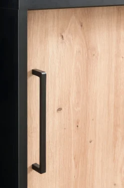 welltime Aktenschrank »Aino, Aktenschrank, Made in Germany, B: 100,1 cm« Solide Verarbeitung - Dieses Produkt ist in Deutschland gefertigt