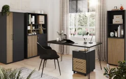 welltime Aktenschrank »Hank, Aktenschrank, Made in Germany, B: 65 cm« Solide Verarbeitung - Dieses Produkt ist in Deutschland gefertigt