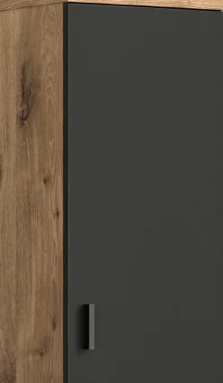 welltime Hängeschrank »Dolo, Breite 37 cm, 1 Tür (Türanschlag wechselbar), 1 Einlegeböden« 1 Stk. tlg. Badmöbel, Badschrank, Schrank, Wandschrank, Bad, Badezimmer