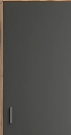 welltime Hängeschrank »Dolo, Breite 37 cm, 1 Tür (Türanschlag wechselbar), 1 Einlegeböden« 1 Stk. tlg. Badmöbel, Badschrank, Schrank, Wandschrank, Bad, Badezimmer