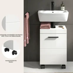 welltime Waschbeckenunterschrank »AVON, Breite 40 cm, 1 Tür, 1 Einlegboden, 2 Fächer« mit Siphonausschnitt 22x8 cm, Rückwand mit Ausschitt,Badmöbel, Badschrank, Unterschrank, Waschtisch, Kommode, Bad