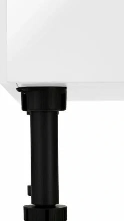 wiho Küchen Apothekerschrank »Ela« mit 2 Auszügen, mit Soft-Close-Funktion, 30 cm breit