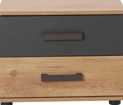 Wimex Nachtschrank »Malmoe, Nachttisch 52x38x40cm, 2 Schubladen« einzeln oder im praktischen 2er Set, rusikaler look, Industrial Design