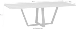 WOOOD Esstisch »Tablo« Holz teilmassiv, rechteckige Form, H 77 cm x B 240 x T 100 cm